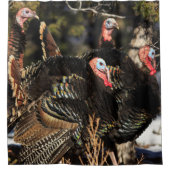 野生の七面鳥 シャワーカーテン (正面)