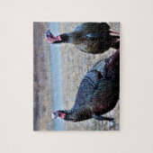 野生の七面鳥 ジグソーパズル (縦)