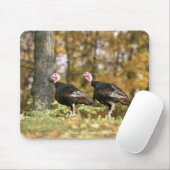 野生の七面鳥 マウスパッド (マウス)