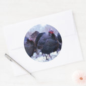 野生の七面鳥 ラウンドシール (封筒)