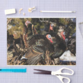 野生の七面鳥 薄葉紙 (クラフト)