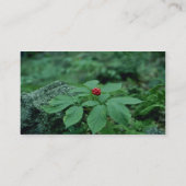 野生の人参(Panax Quinquefolius)の花 名刺 (裏面)