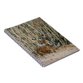 野生の休息の虎 ノートブック (右側)