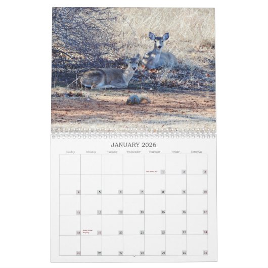 野生の写真カレンダーの鹿 カレンダー (1月 2026)
