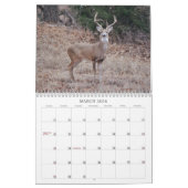 野生の写真カレンダーの鹿 カレンダー (3月 2026)