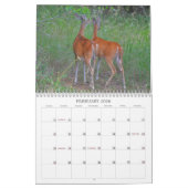 野生の写真カレンダーの鹿 カレンダー (2月 2026)