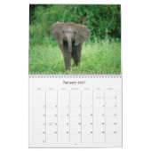 野生の動物たちのワイルドなベイビー 2009 - 2010 カレンダー (1月 2027)