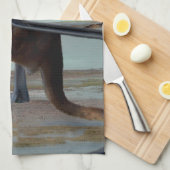 野生の反映: ビーチにいるカンガルー キッチンタオル (四つ折り)