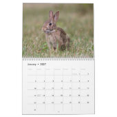 野生の小さい生き物 カレンダー (1月 2027)