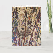 野生の巣のカード カード (正面)