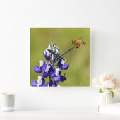 野生の忙しルピナスの花を見る スクエア壁時計 (ホーム)