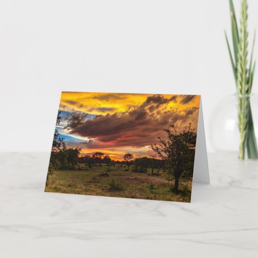 野生の日没、南アフリカ共和国 シーズンカード (正面)