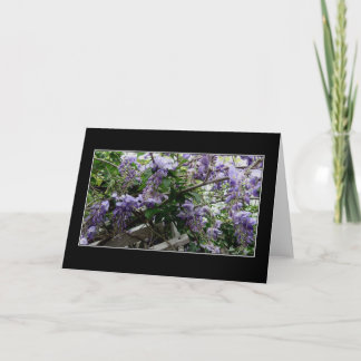 "野生の春" カード