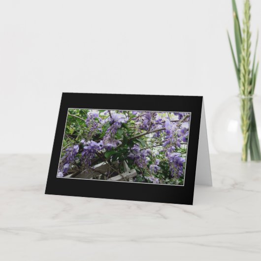 "野生の春" カード (正面)