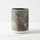 野生の木に落ちた座っているチーター ツートーンマグカップ (中央)