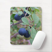 野生の果実のmousepad マウスパッド (マウス)