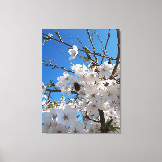 野生の桜の花とマルハナバチ キャンバスプリント (正面)