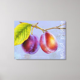 野生の梅 – Prunus domestica canvas art mauve キャンバスプリント