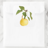 野生の梨 スクエアシール (バッグ)