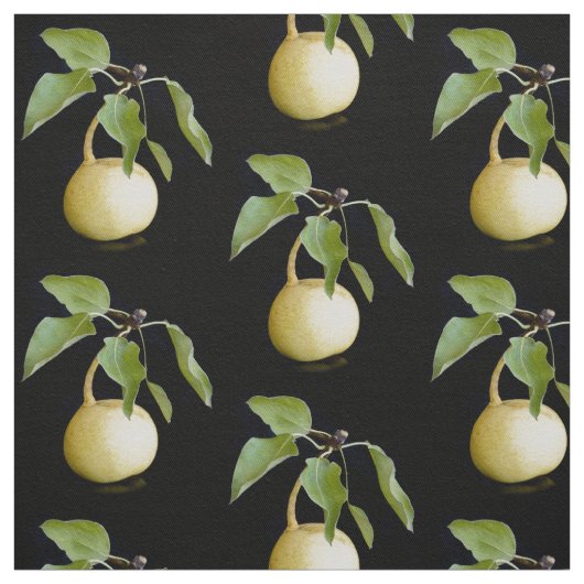 野生の梨 ファブリック (見本)