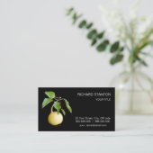 野生の梨 名刺 (スタンド正面)