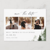 野生の森の松3写真結婚式の日付を保存 ポストカード (正面)