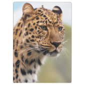 野生の毛むくじゃらの大人のチーター クリップボード (裏面)