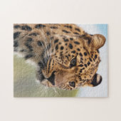 野生の毛むくじゃらの大人のチーター ジグソーパズル (横)
