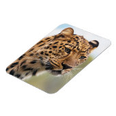 野生の毛むくじゃらの大人のチーター マグネット (左側)