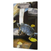 野生の池のスライダーのカメ クリップボード (左)