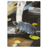 野生の池のスライダーのカメ クリップボード (裏面)