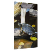 野生の池のスライダーのカメ クリップボード (右)