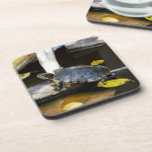 野生の池のスライダーのカメ コースター (左側)