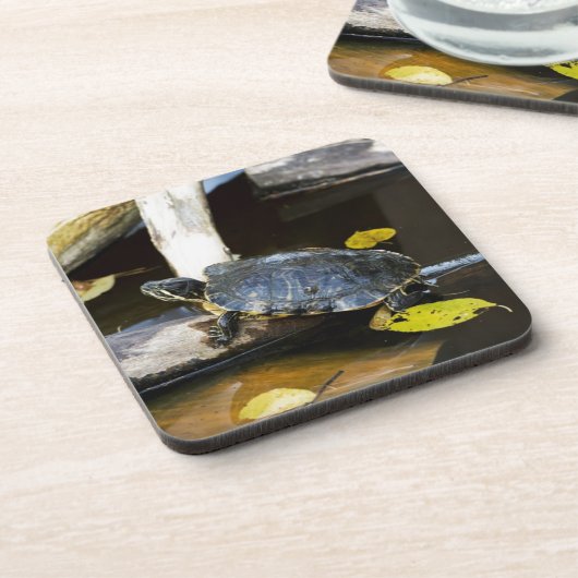 野生の池のスライダーのカメ コースター (左側)