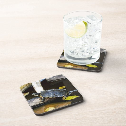 野生の池のスライダーのカメ コースター (右側)