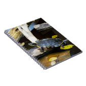 野生の池のスライダーのカメ ノートブック (右側)