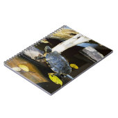 野生の池のスライダーのカメ ノートブック (左側)