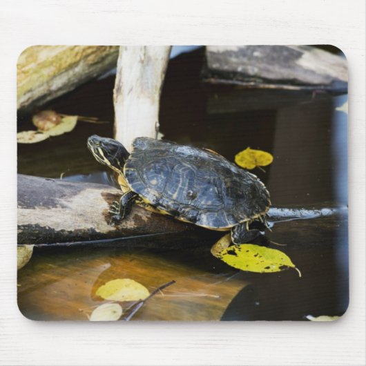 野生の池のスライダーのカメ マウスパッド (正面)