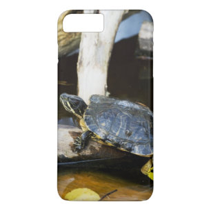 野生の池のスライダーのカメ iPhone 8 PLUS/7 PLUSケース