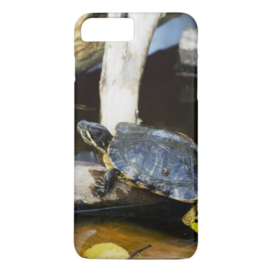 野生の池のスライダーのカメ Case-Mate iPhoneケース (裏面)