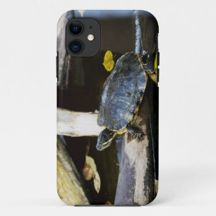 野生の池のスライダーのカメ iPhone 11 ケース