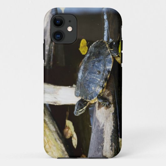 野生の池のスライダーのカメ Case-Mate iPhoneケース (裏面)