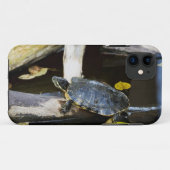 野生の池のスライダーのカメ Case-Mate iPhoneケース (裏面(横))