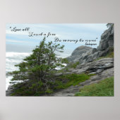 野生の海シーシェークスピアは誰にも悪いことをする ポスター (正面)