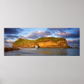 野生の海岸の壁の穴 ポスター (正面)