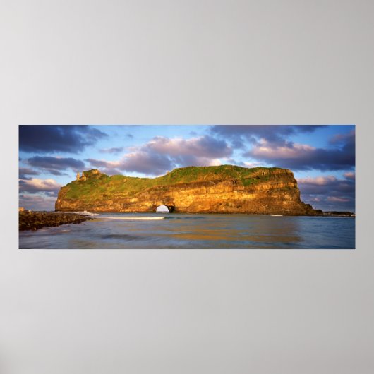 野生の海岸の壁の穴 ポスター (正面)