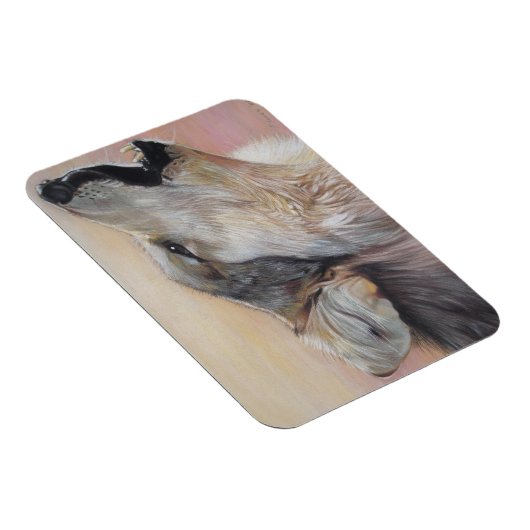 野生の灰色の狼が夕日に向かって吠えている マグネット (右側)