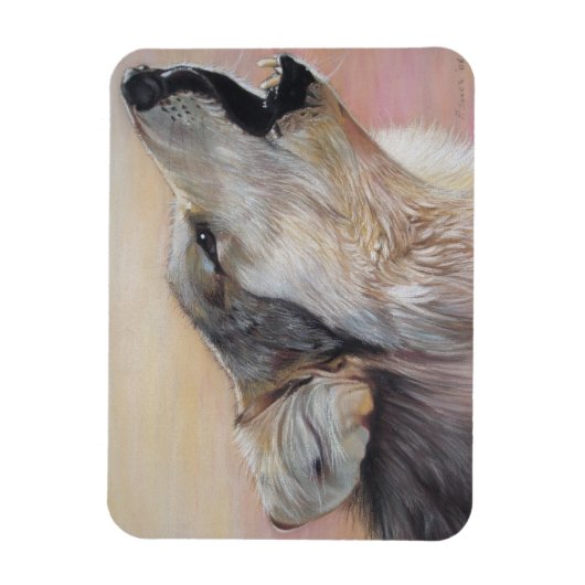 野生の灰色の狼が夕日に向かって吠えている マグネット (縦)