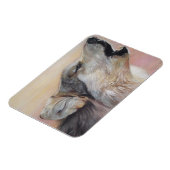 野生の灰色の狼が夕日に向かって吠えている マグネット (左側)