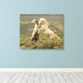 野生の牡獅子が二つ戦う キャンバスプリント (インサイチュ (ウッドフロア))